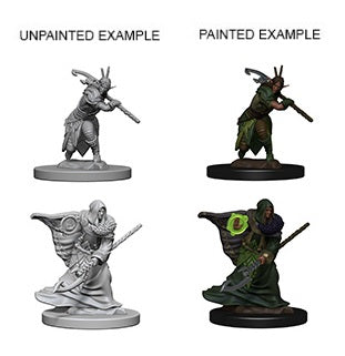 Wizkids Minis D&D 72641 Elf Male Druid