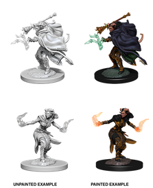 Wizkids Minis D&D 73389 Female Tiefling Warlock