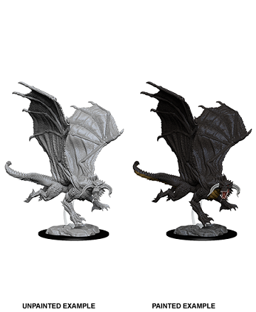 Wizkids Minis D&D 73682 Young Black Dragon
