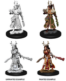 Wizkids Minis D&D 73701 Female Human Druid