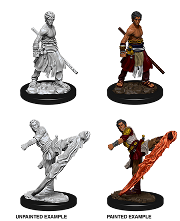 Wizkids Minis D&D 73838 Male Half-Elf Monk