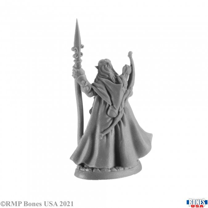 Reaper Mini RM30006 Elanter, the Lost Prince