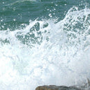 AK Interactive Water Foam - 100ml (Acrylic)