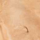 AK Interactive Terrains Sandy Desert - 250ml (Acrylic)
