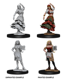 Wizkids Minis Pathfinder 72588 Bartender & Dancer