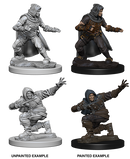Wizkids Minis Pathfinder 72602 Human Male Rogue