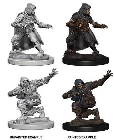 Wizkids Minis Pathfinder 72602 Human Male Rogue