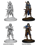 Wizkids Minis Pathfinder 72611 Elf Female Bard