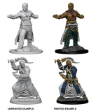 Wizkids Minis Pathfinder 72612 Human Male Monk