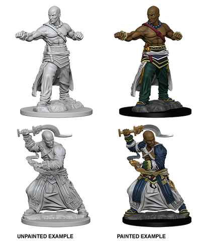 Wizkids Minis Pathfinder 72612 Human Male Monk