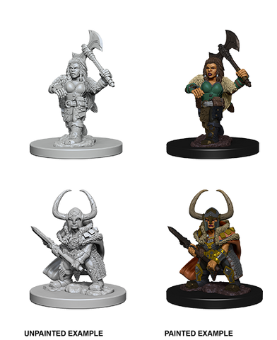 Wizkids Minis D&D 72645 Dwarf Female Barbarian