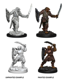 Wizkids Minis D&D 73341 Dragonborn Female Paladin