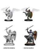 Wizkids Minis D&D 73342 Aasimar Male Paladin