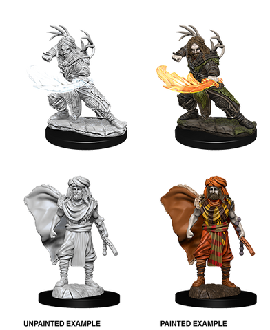 Wizkids Minis D&D 73390 Male Human Druid