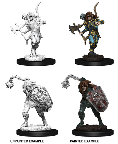 Wizkids Minis Pathfinder 73409 Male Elf Fighter