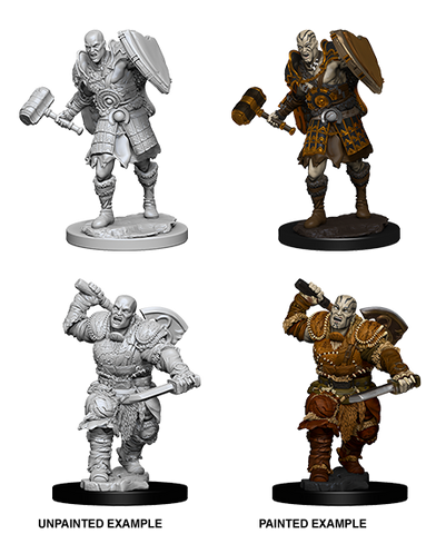 Wizkids Minis D&D 73541 Male Goliath Fighter