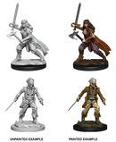 Wizkids Minis D&D 73676 Vampire Hunters