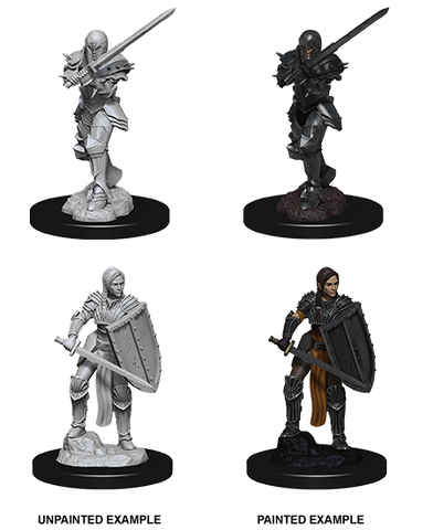 Wizkids Minis D&D 73705 Female Human Fighter