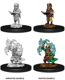 Wizkids Minis Pathfinder 73722 Male Gnome Sorcerer