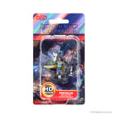 Wizkids D&D Minis 73821 Elf Female Druid Prepainted