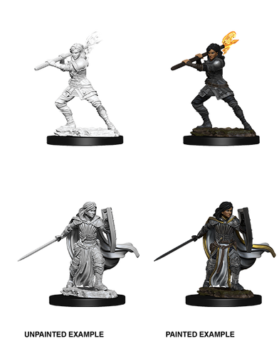 Wizkids Minis D&D 73830 Female Human Paladin