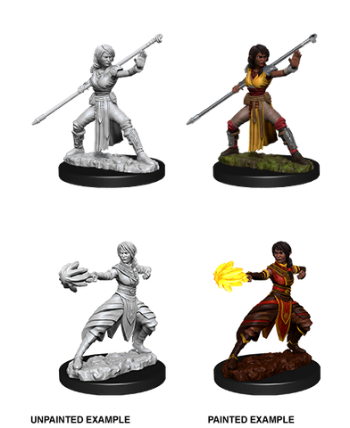 Wizkids Minis D&D 73839 Female Half-Elf Monk