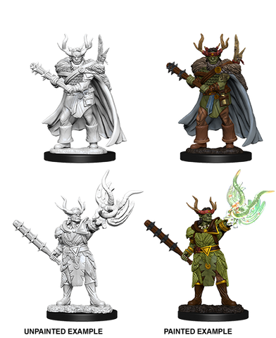 Wizkids Minis Pathfinder 73853 Male Half-Orc Druid