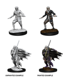 Wizkids Minis Pathfinder 73854 Male Elf Rogue