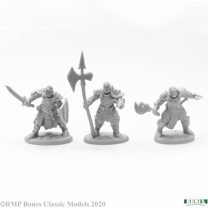 Reaper Mini RM77673 Knights of the Realm (3)