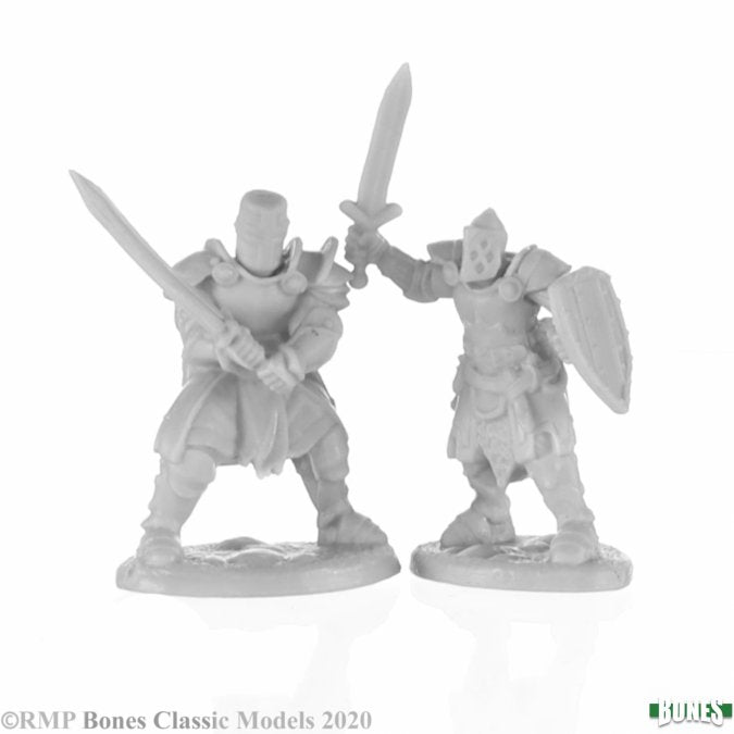 Reaper Mini RM77676 Knight Heroes (2)