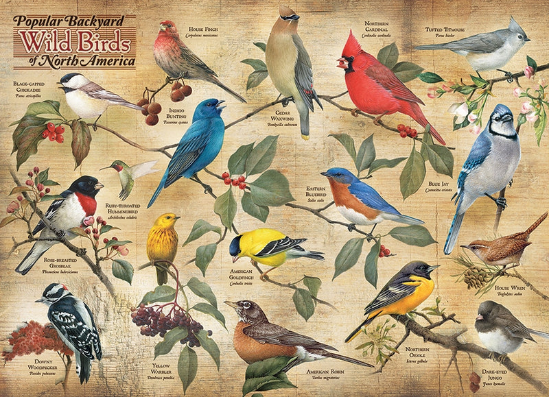 Cobble Hill Puzzle 1000 Piece Popular Backyard Wild Birds