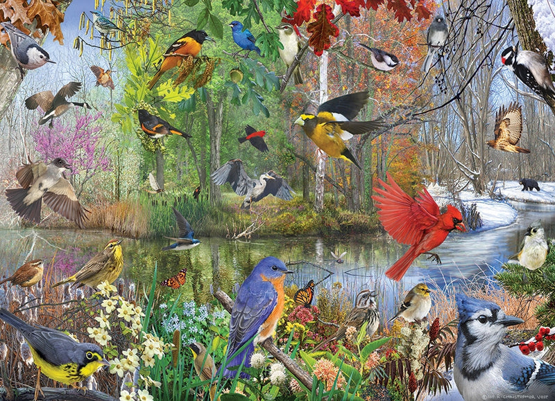 Cobble Hill Puzzle 1000 Piece Birds Of The Season