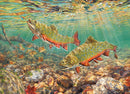Cobble Hill Puzzle 1000 Piece Brook Trout