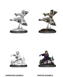 Wizkids Minis D&D 90008 Female Human Monk