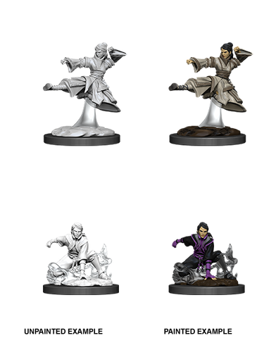 Wizkids Minis D&D 90008 Female Human Monk