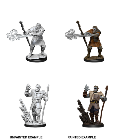 Wizkids Minis D&D 90013 Male Firbolg Druid