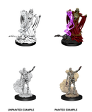 Wizkids Minis D&D 90020 Lich And Mummy Lord