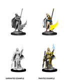 Wizkids Minis Pathfinder 90044 Female Human Oracle