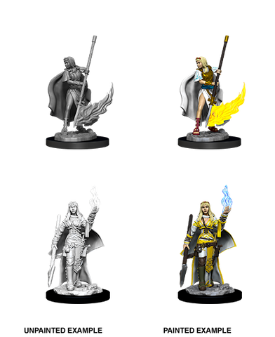 Wizkids Minis Pathfinder 90044 Female Human Oracle