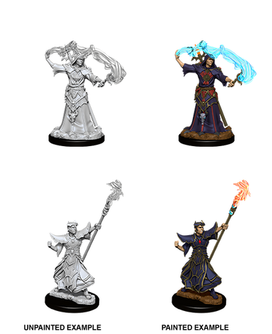 Wizkids Minis Pathfinder 90052 Male Human Sorcerer