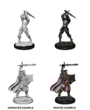 Wizkids Minis D&D 90060 Male Human Paladin