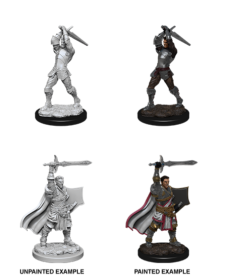 Wizkids Minis D&D 90060 Male Human Paladin