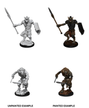 Wizkids Minis D&D 90066 Gnoll and Gnoll Flesh Gnawer