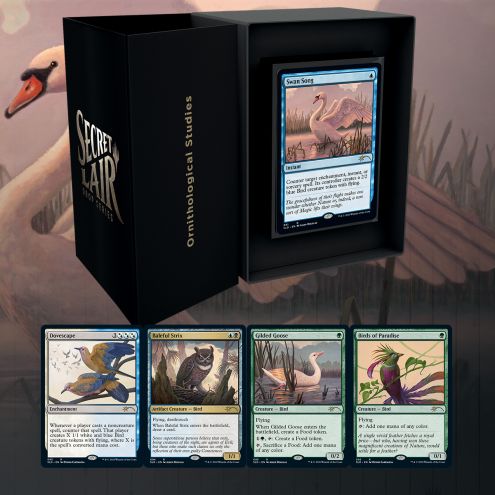 MTG Secret Lair Drops - Ornithological Studies