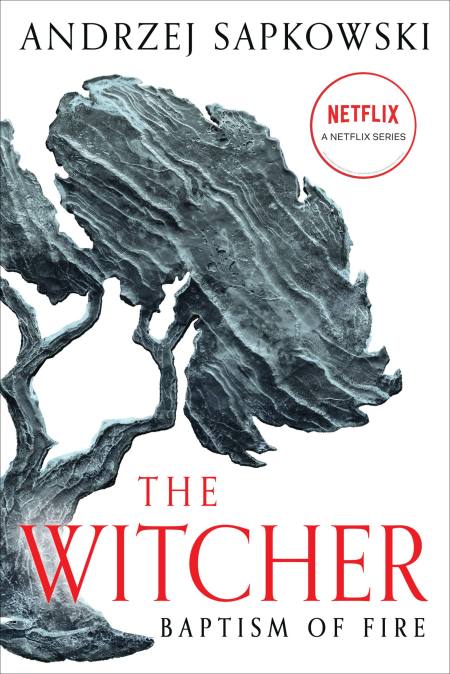 Novel The Witcher: Baptism of Fire
