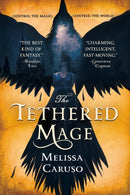 Novel Swords and Fire 1: Tethered Mage