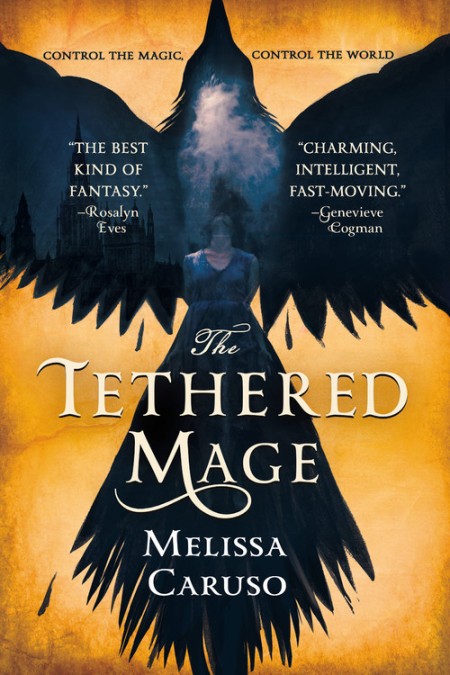 Novel Swords and Fire 1: Tethered Mage