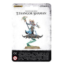 GW Age of Sigmar Disciples Of Tzeentch Tzaangor Shaman