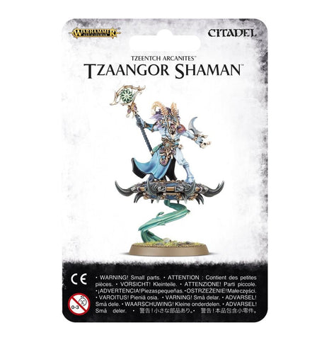 GW Age of Sigmar Disciples Of Tzeentch Tzaangor Shaman