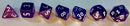 Chessex Poly Translucent Purple/white
